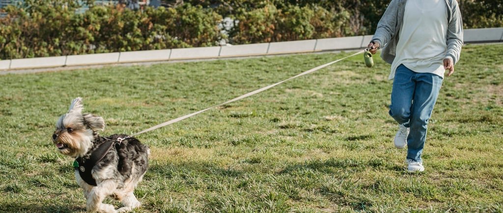 10 Fun Activities to Burn Extra Calories: Make Fitness Enjoyable!