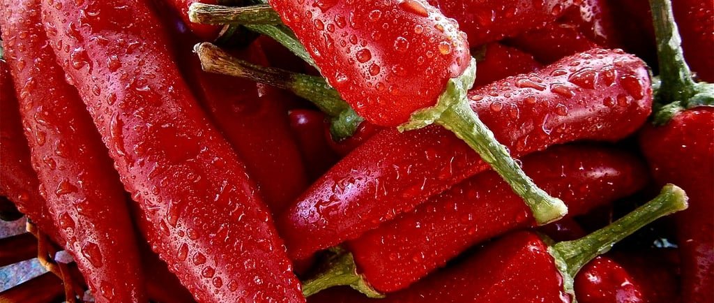 The Fiery Truth: Dissecting the Benefits and Risks of Hot Peppers